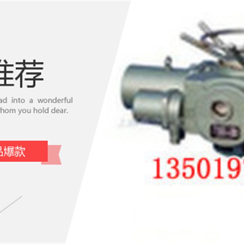 阀门电动装置DZW-20多回转电动闸阀执行器电压380V配闸阀DN150