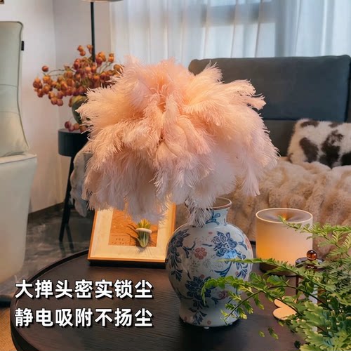 装饰鸵鸟毛掸可伸缩除尘家用掸子