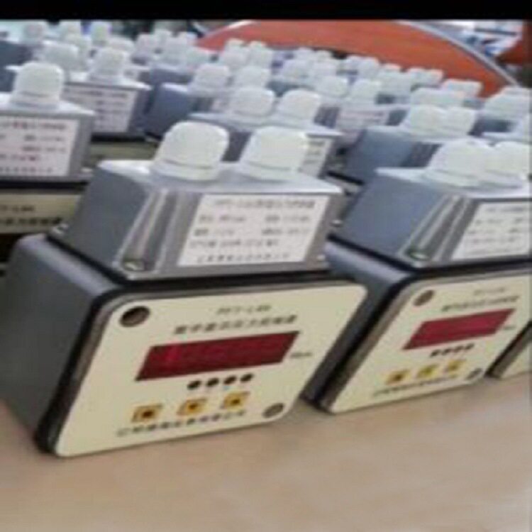 数显压力继电器 24V 型号:BH54-PFT-L4A库号：M407236