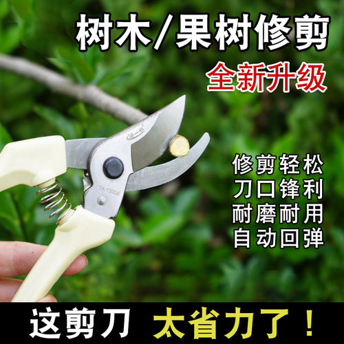 修枝剪省力手动嫁接专用剪刀果树粗枝便携多功能果枝剪花卉批发