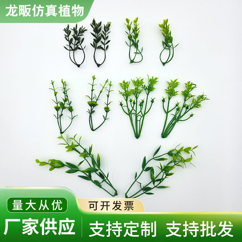 三叉瓜子草草坪地板草盆景小草装饰塑料仿真植物配件厂家批发