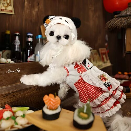 杭州西施犬