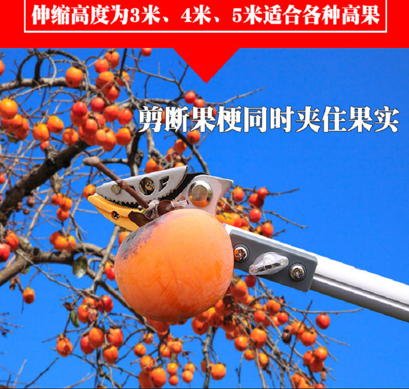 高枝剪修枝剪果树剪刀摘果剪摘果器高枝锯枇杷剪伸缩香椿摘果神器图片