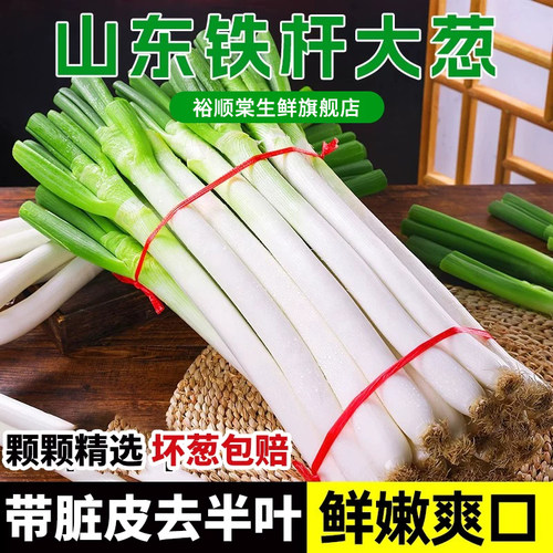 山东大葱新鲜5斤装甜葱铁杆大葱