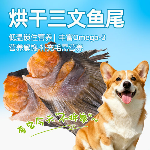 宠物零食烘干三文鱼尾猫三文鱼