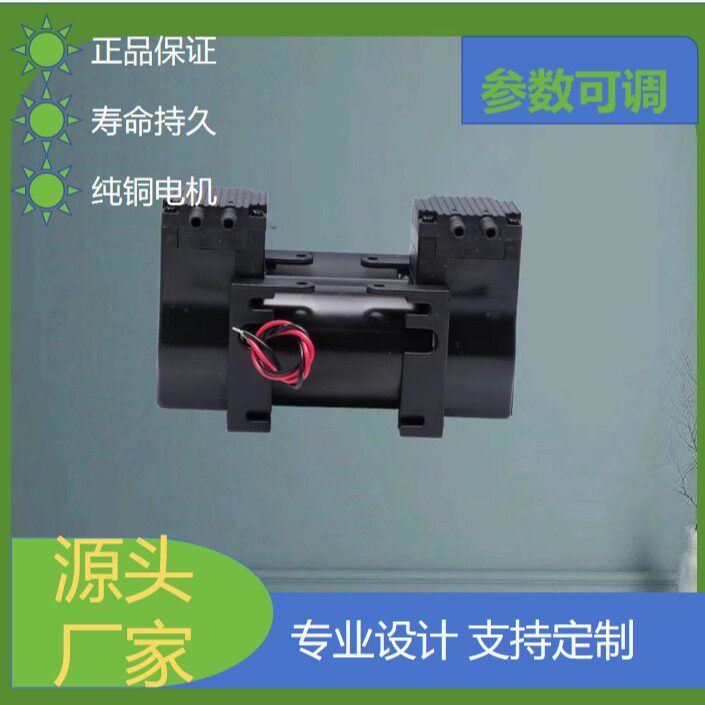 2AP58-2微型隔膜气泵双头泵电动真空静音吸奶器吸气泵