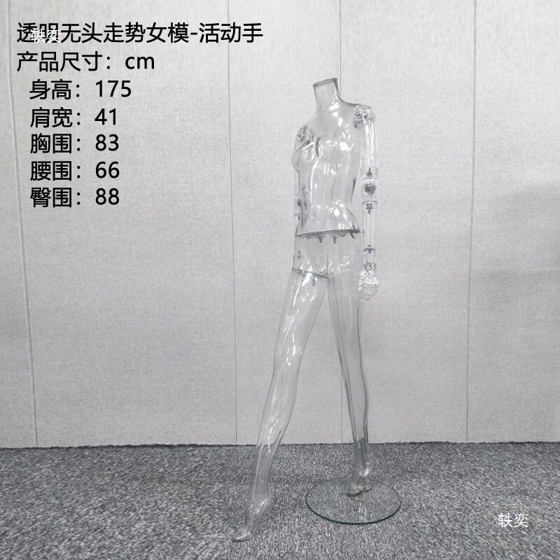 透明模特道具女全身假人台模型手臂可动调关节服装拍摄透明女模特