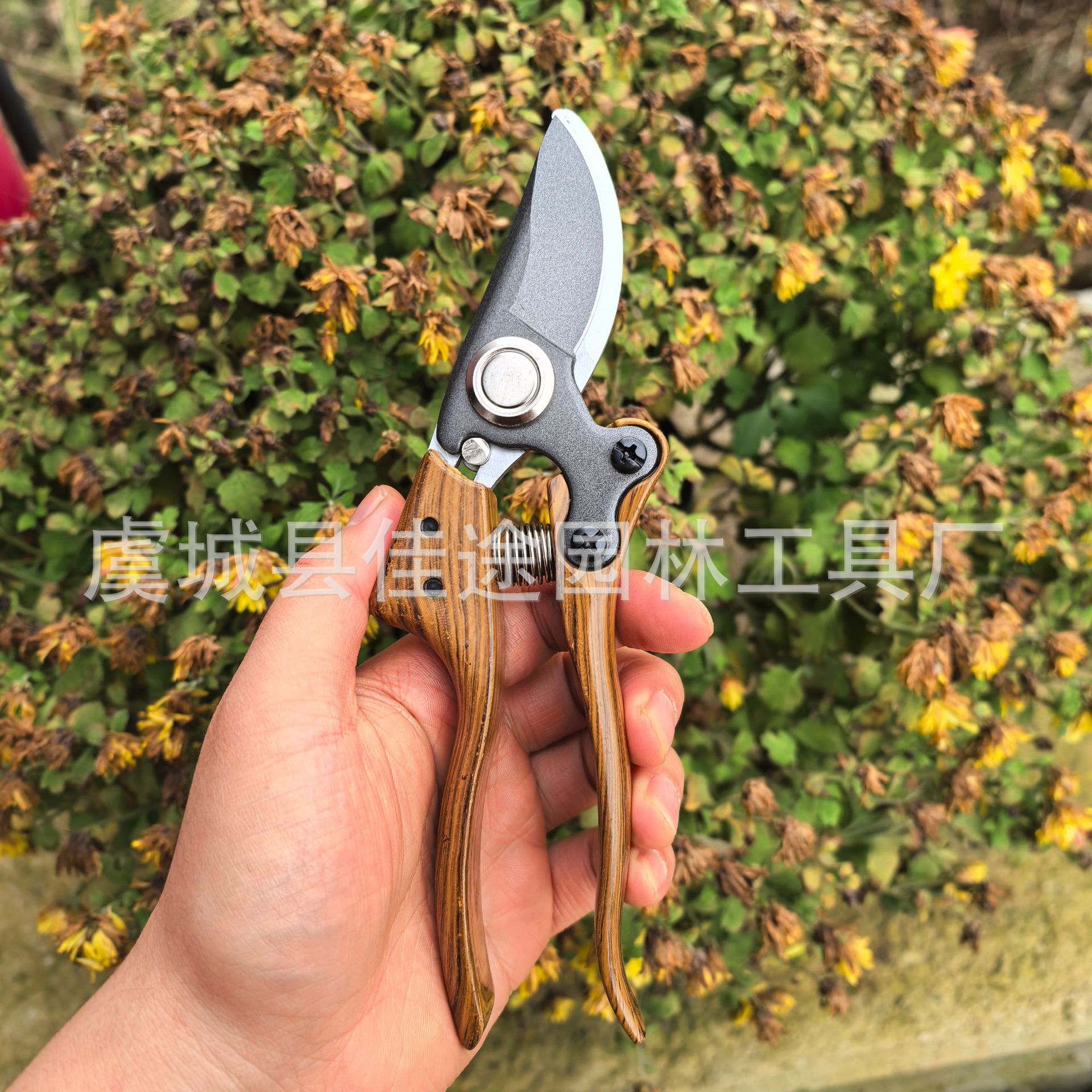 修剪树枝专用剪刀修枝剪刀SK5钢园林园艺果树剪剪子剪枝工具剪刀图片