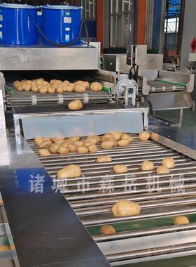 土豆清洗烘干机土豆分选机一小时5吨厂家支持定制土豆去泥不伤皮