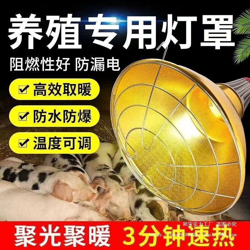 养殖专用加厚金属防水取暖聚光灯仔猪宠物可调加热灯罩保温保暖