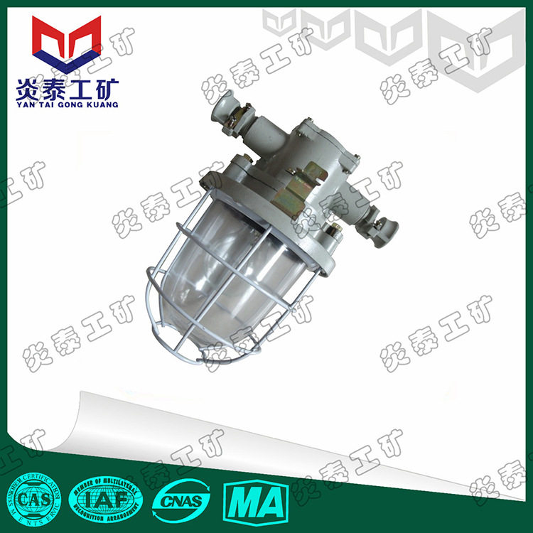 DGS60/127B矿用隔爆信号灯 60W防爆白炽灯 127V红色矿用白炽灯