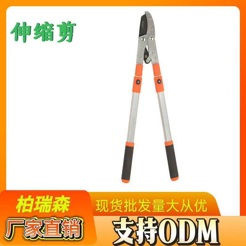 剪树枝专用大剪子修树枝剪刀粗枝果树修剪园林葡萄茶树伸缩杆省力