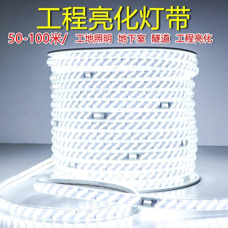 220Vled灯带批发白光户外防水工程127V养殖塔吊工地24V36V地下室