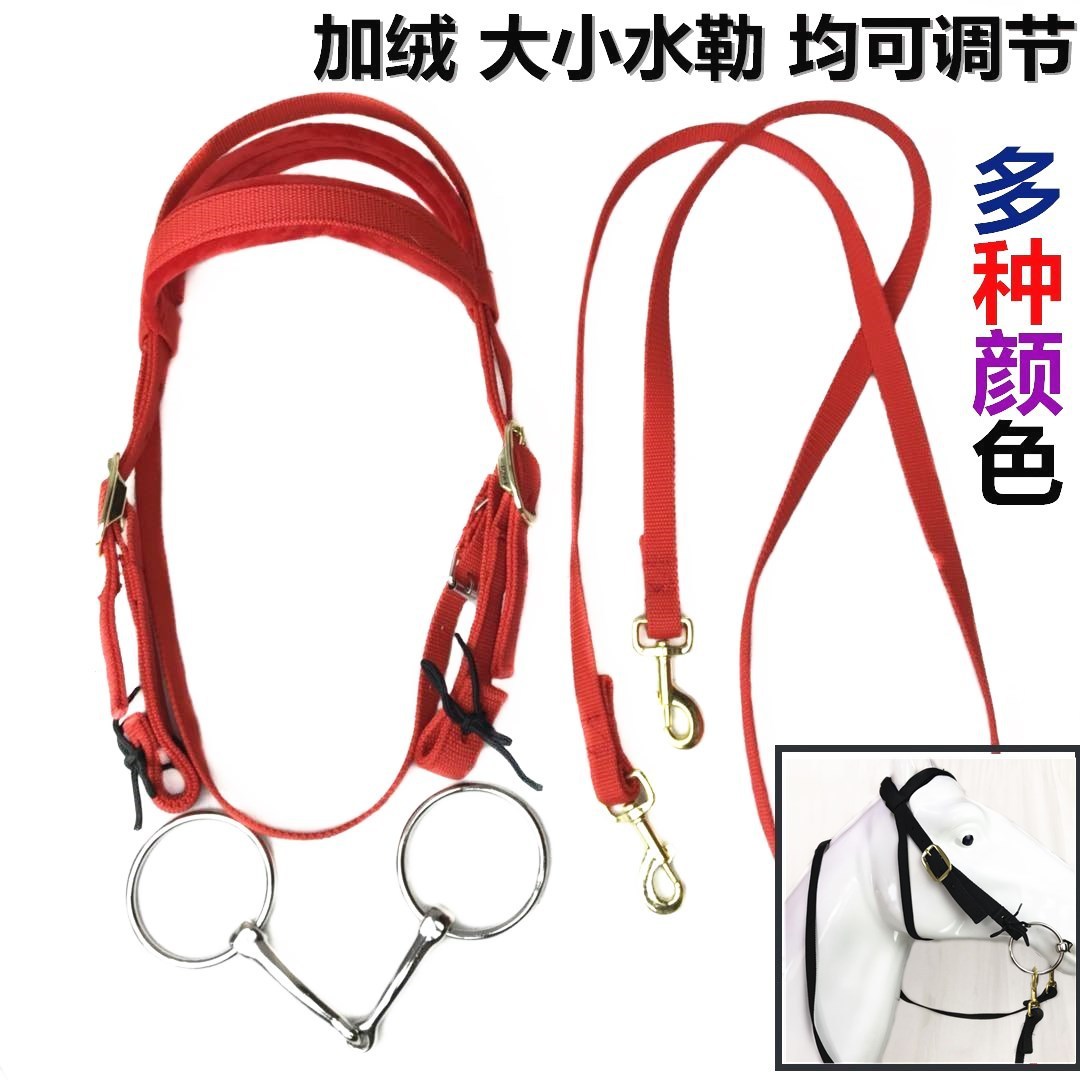 马鞍新款马具彩色大小矮马水勒缰绳口嚼子全套马笼头马术用品