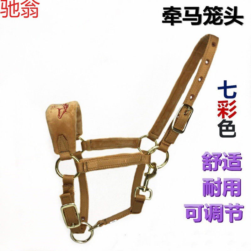 Q7G马笼头新品彩色牵马调教笼头大小矮马龙头嚼子