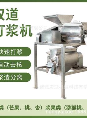 芒果去核打浆机 大型双道牛油果打浆设备 工业枇杷去核打浆机器