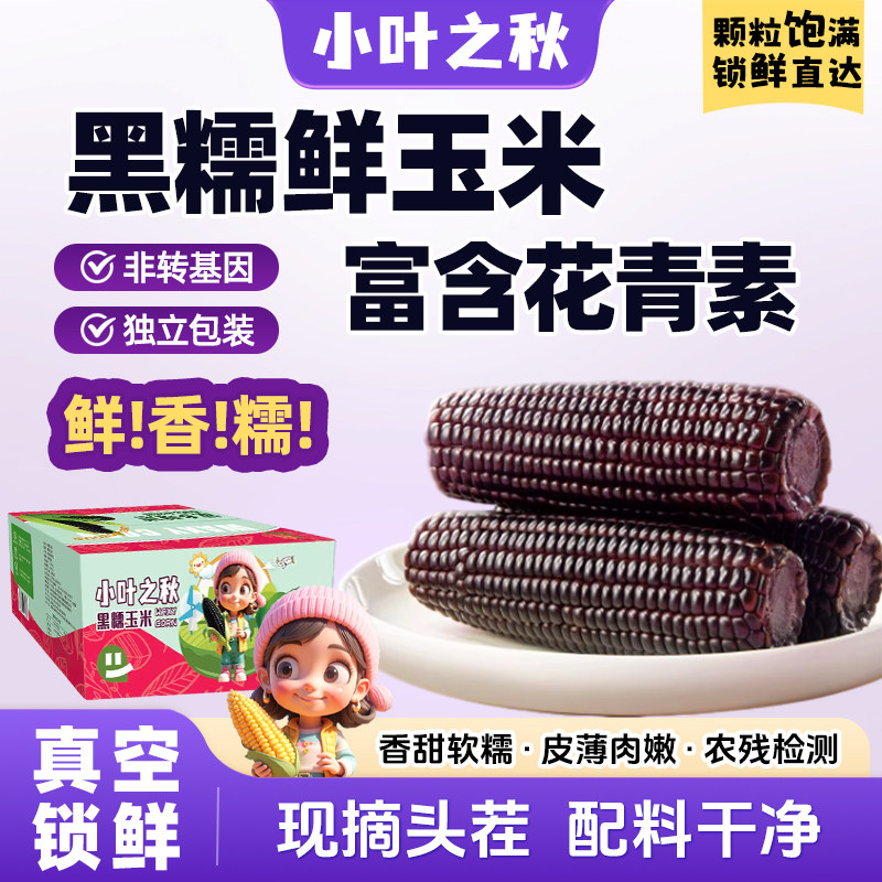 小叶之秋东北黑糯糯玉米