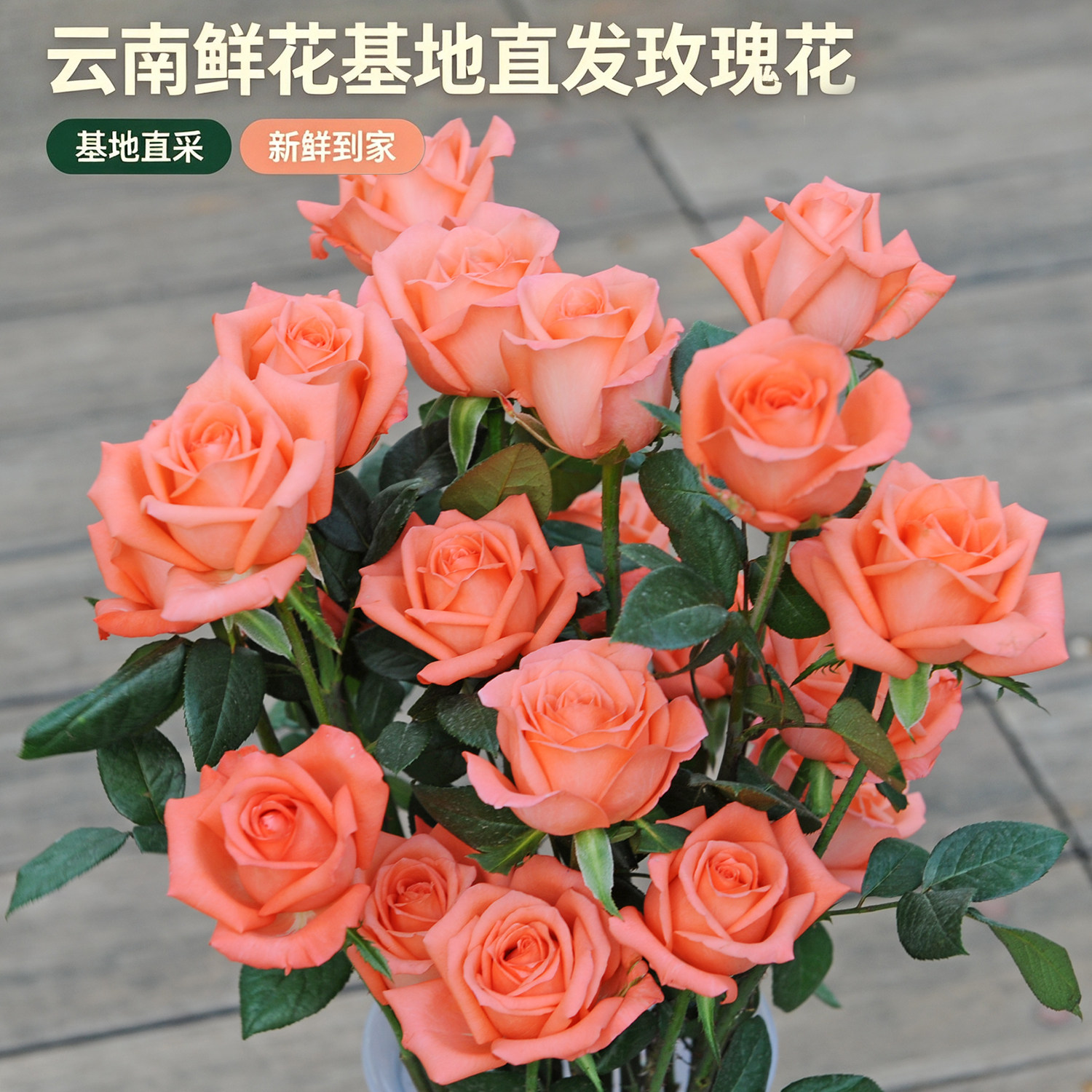 云南昆明直批直发玫瑰鲜花教师节
