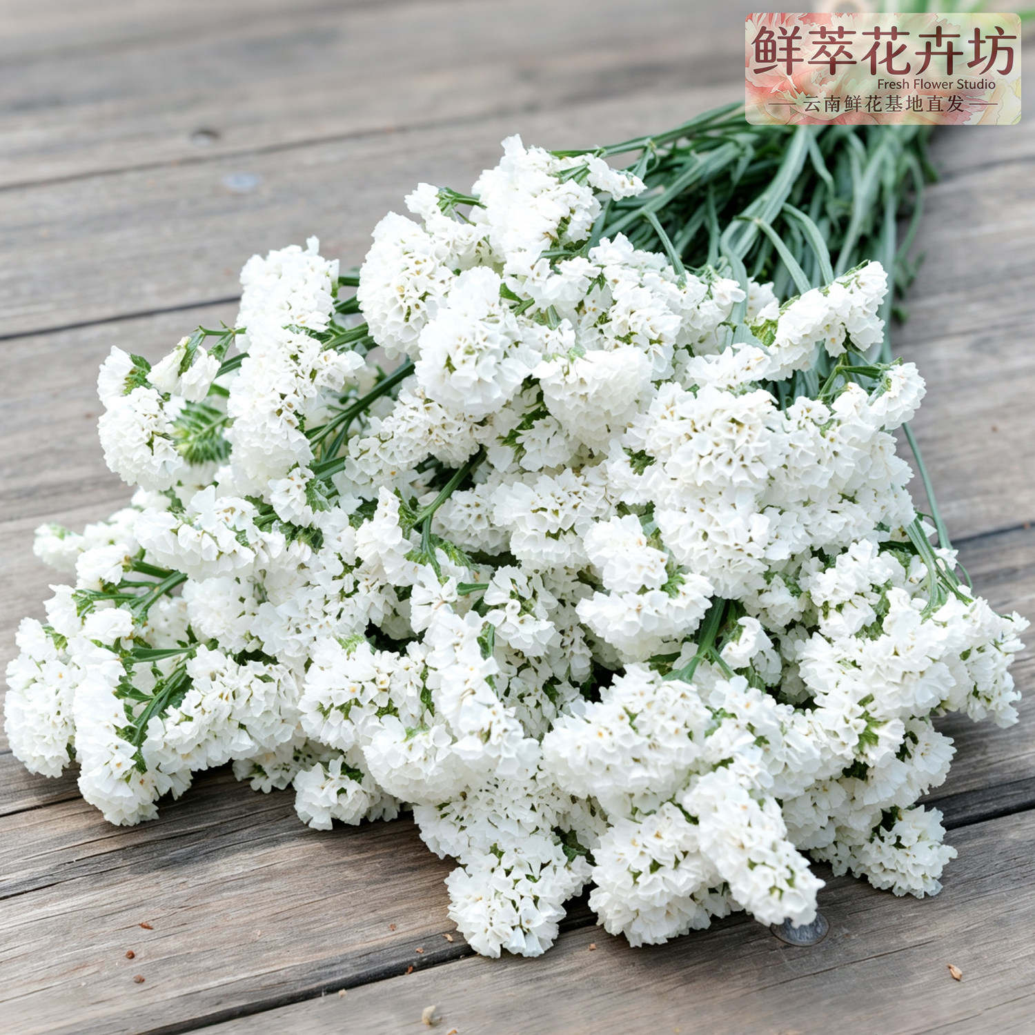 云南勿忘我鲜花束天然真花斗南