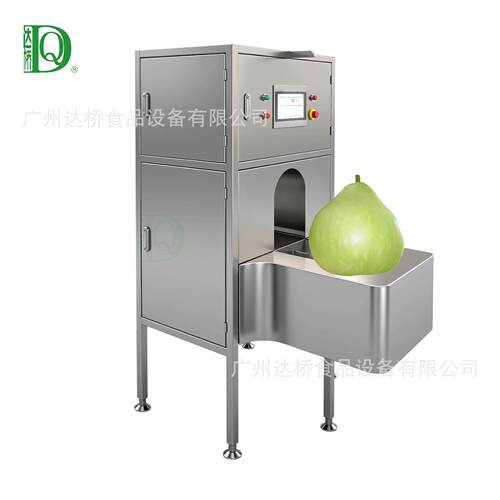 DQ达桥源头工厂瓜果刨皮机智能菜葫芦削皮机商用净菜加工生产线