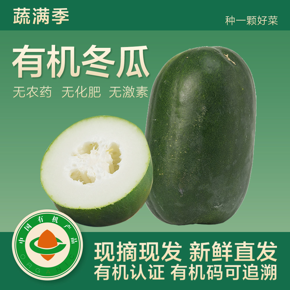 蔬满季有机小冬瓜无农残新鲜现摘