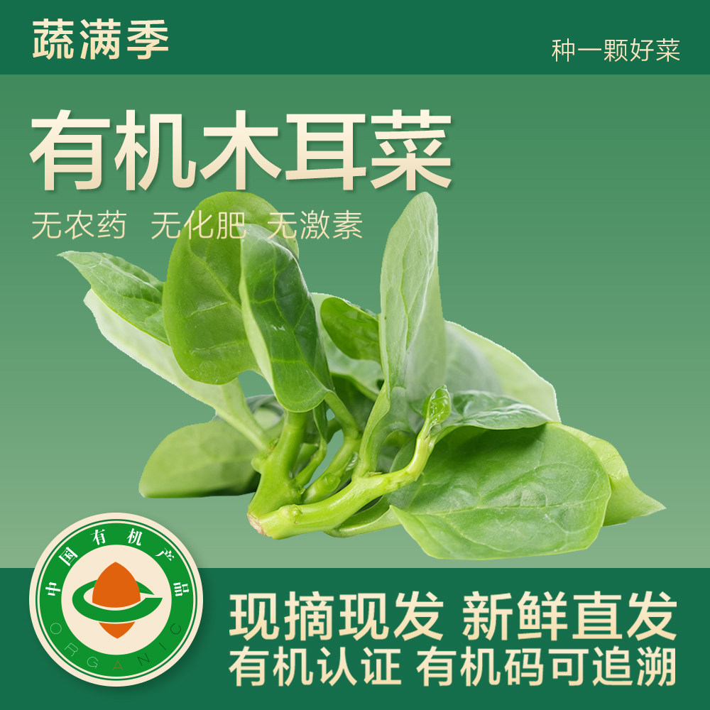 蔬满季有机木耳菜无农残顺丰包邮