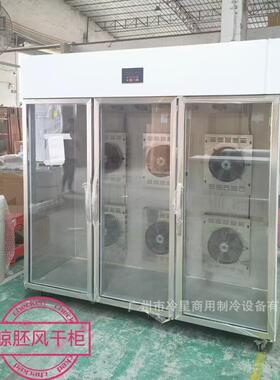 三门展示智能晾鸭柜商用不锈钢鸭肉鹅肉鸽子风干冰箱强风晾胚柜