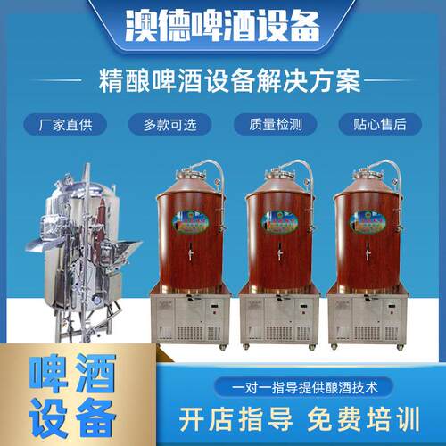 小型啤酒酿酒生产设备精酿啤酒发酵糖化加工定制