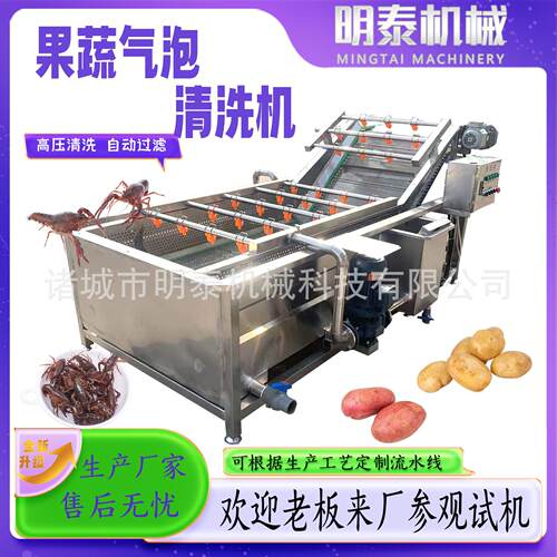 全自动果蔬气泡气泡清洗机小龙虾超声波清洗西红柿木薯清洗设备