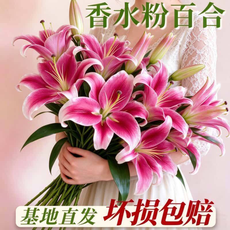 香水大头新水养鲜百合花鲜花花