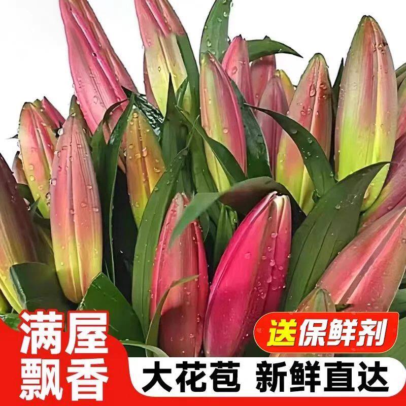 百合鲜花束云南基地直发康乃馨