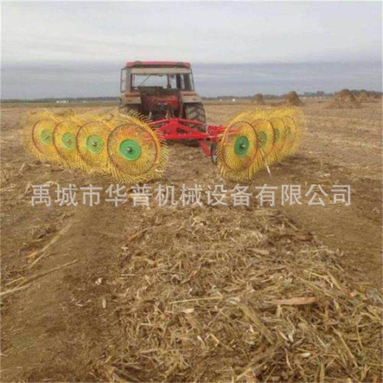 搂草机 指盘式搂草机 牧草搂拾机 玉米秸秆收集机 液压牵引搂草机