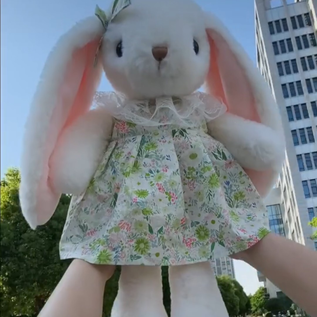 可爱垂耳兔毛绒公仔抱枕生日礼物