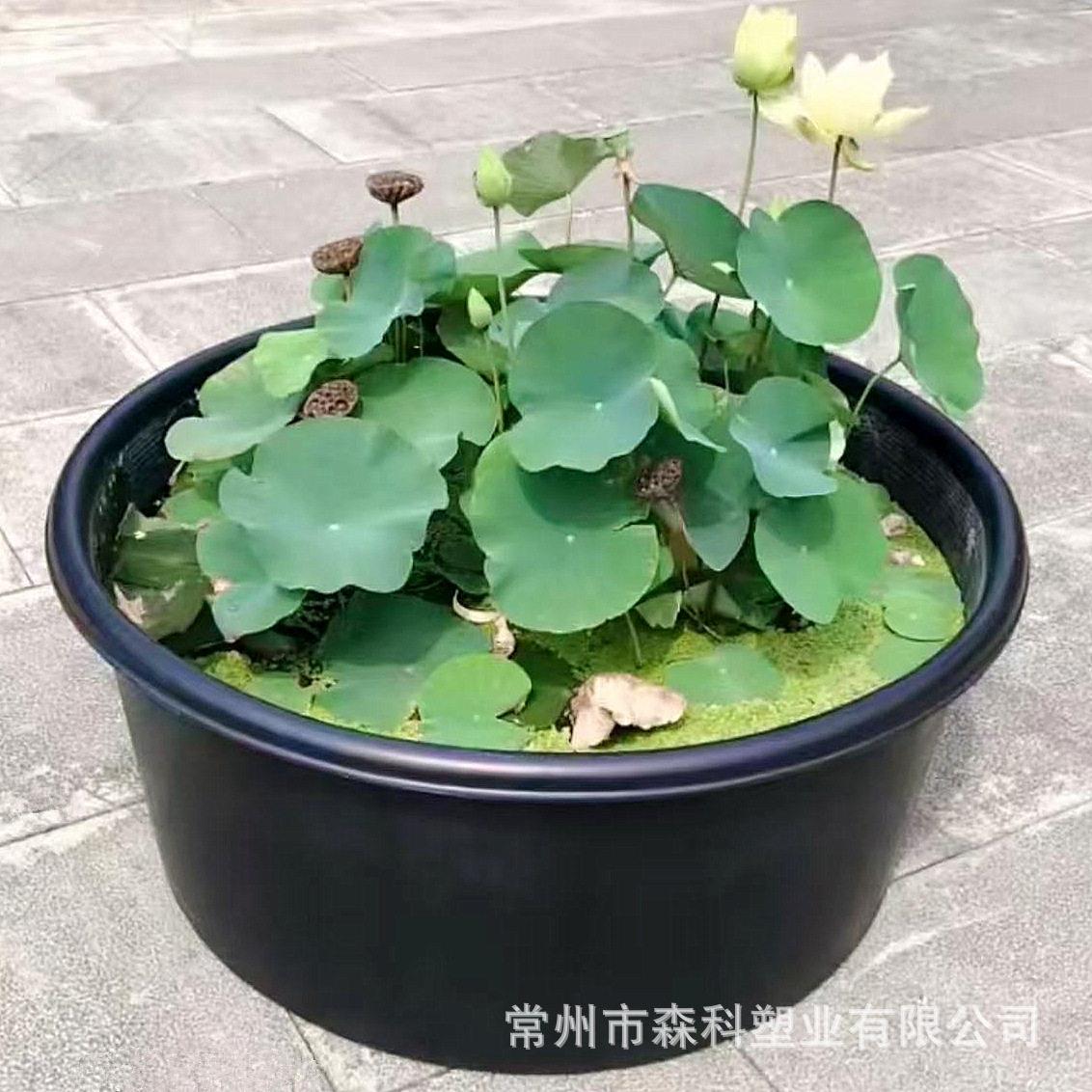 400L牛筋圆盆牛津PE塑料盆400公斤圆盆荷花莲花睡莲盆优惠