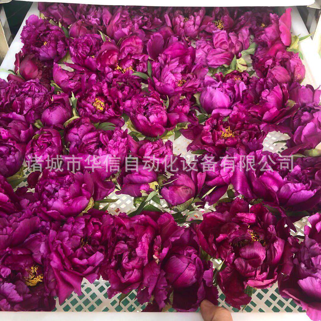 空气能热泵牡丹烘干机 牡丹花烘干房烘干设备牡丹花蕊茶干燥设备