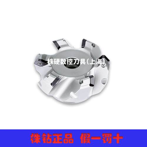 FMD03-200-C60-LN20-10 方肩铣刀盘 株洲钻石上海总理