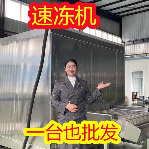 旺源隧道式速冻机 食品厂用工业连续式冷冻隧道 速速冻机