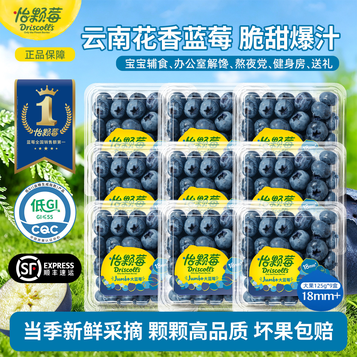 Driscoll's怡颗莓新鲜蓝莓水果