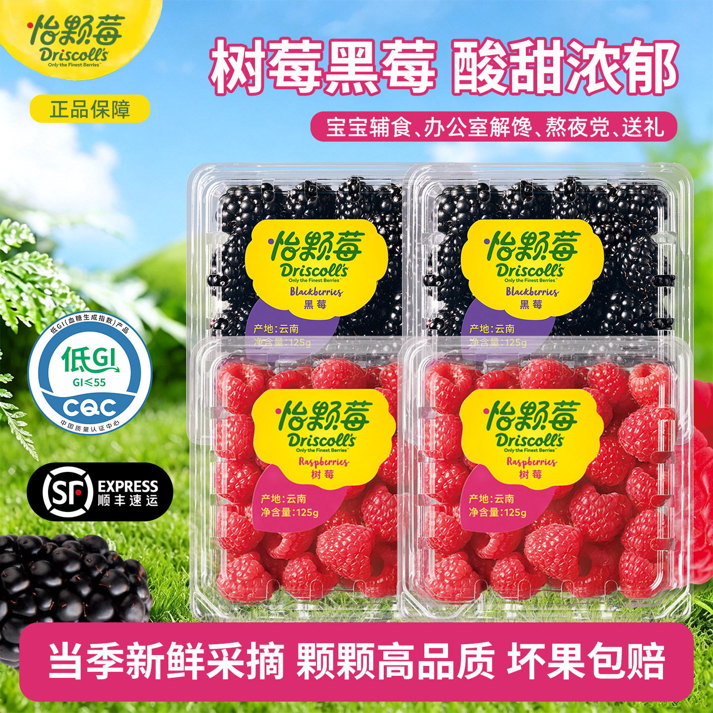 Driscoll's怡颗莓云南树莓黑莓