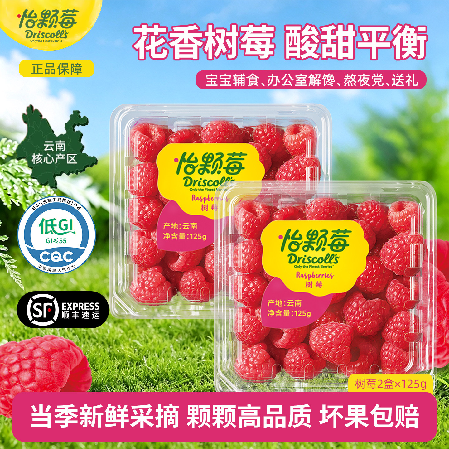 Driscoll's怡颗莓云南红树莓覆盆子酸甜稀有新鲜水果低GI顺丰包邮