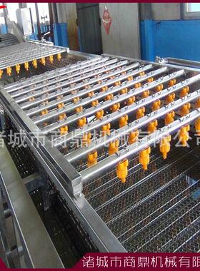 供应商鼎牌 水果蔬菜气泡清洗机 清洗风干设备 压气泡清洗