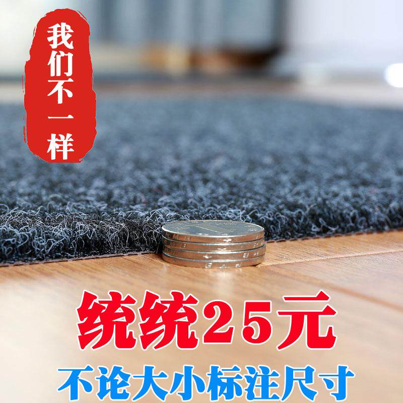 入户塑料防滑地垫子门口地垫进门蹭脚垫家用耐阳台换鞋垫子可剪裁
