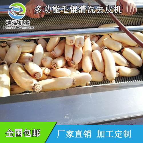 多功能毛刷辊根茎类三七 党参 当归清洗机  黄芪 莲藕清洗去皮机
