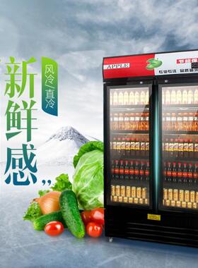 圣凯商用冰箱饮料冷藏展示柜啤酒保鲜超市便利店冷柜三门立式冰柜