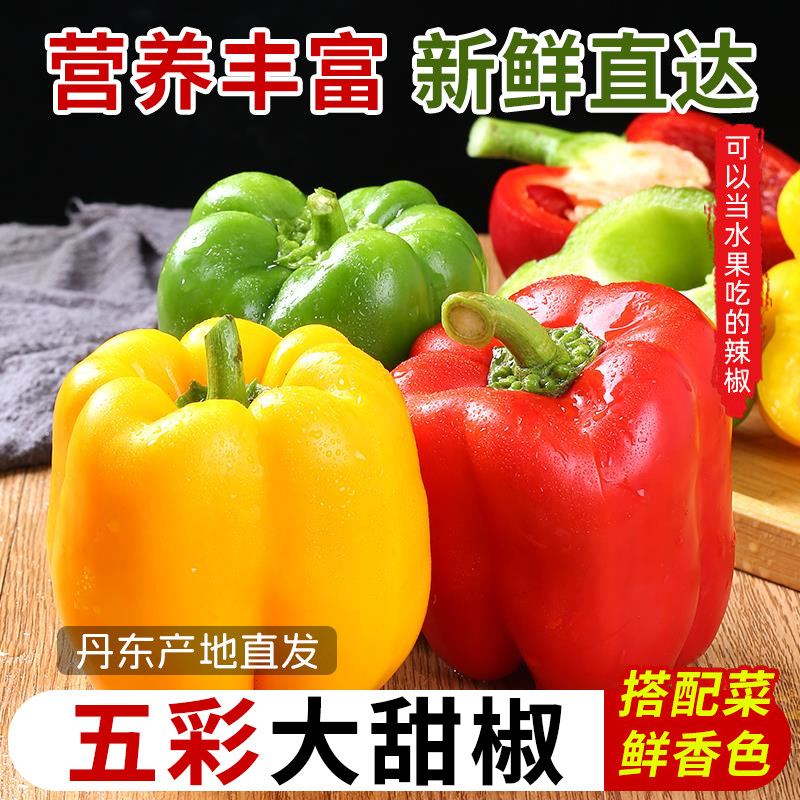 山东五彩甜椒5斤新鲜水果辣椒