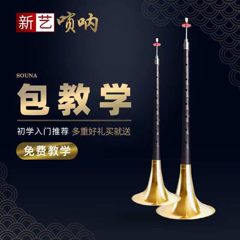 新艺演奏专业乌木红木唢呐乐器全套d调D调初学者入门大小号喇叭