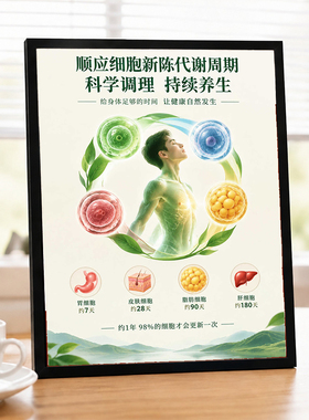 顺应细胞代谢周期宣传相框画养生馆居家科学调理持续养生装饰摆台