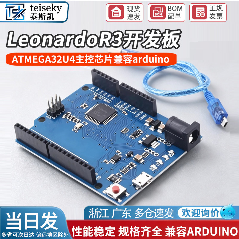 LeonardoR3单片机开发板图片