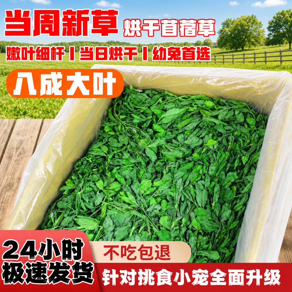 紫花苜蓿草兔子专用幼兔苜蓿草干草荷兰猪豚鼠兔子吃的专用粮草
