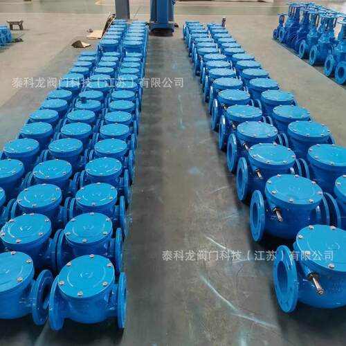 H4X-16Q499GGG5德标0球墨铸铁旋启式法兰止回阀